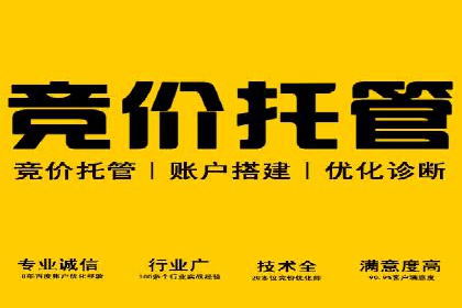 行业新秀如何通过sem竞价运营实现快速崛起
